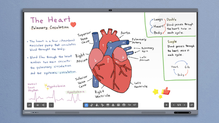 THOMSON TV Smart Boards: für Meetings, Bildung und kreative Gestaltung