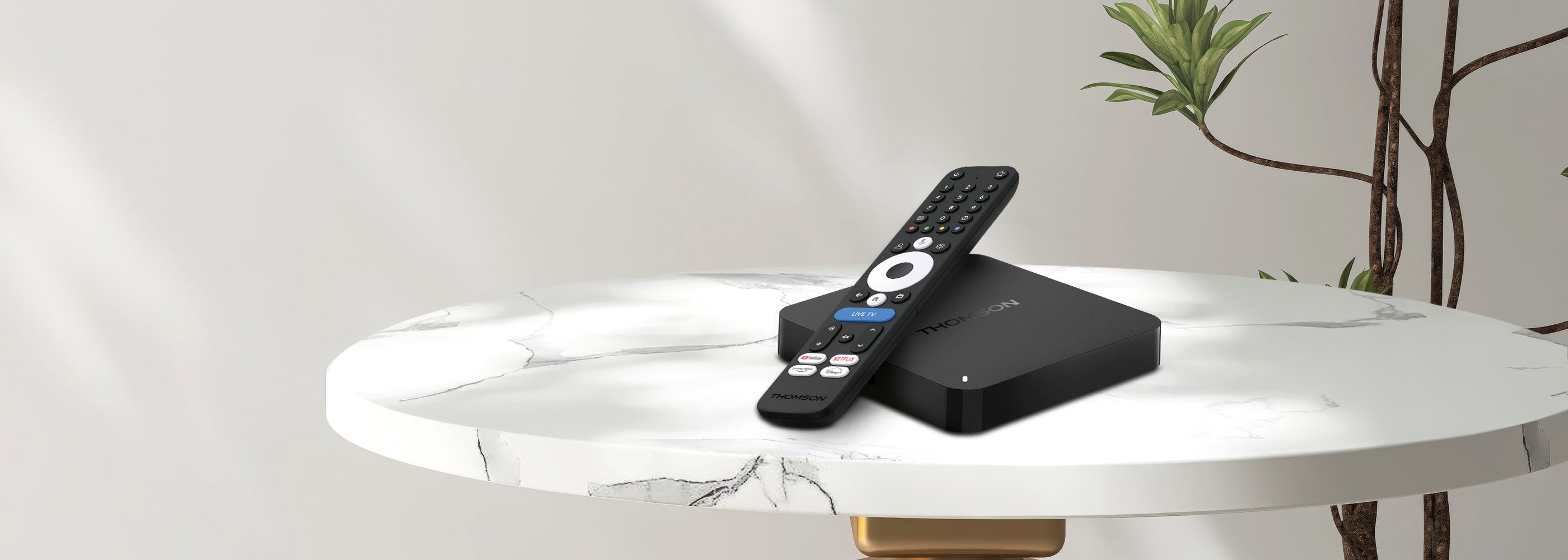 Black streaming device 245 with remote control on a marble surface, plant in the background