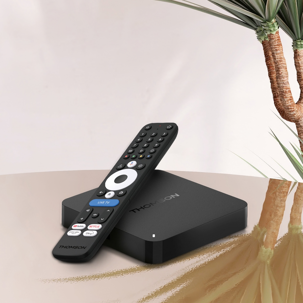 Black TV remote control and streaming box on a light surface with a plant in the background